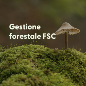 Corso Gestione Forestale FM FSC